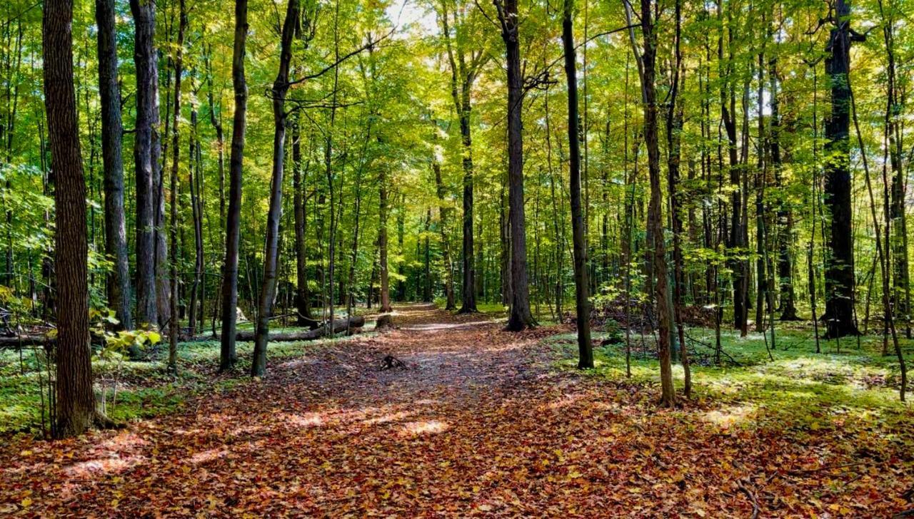 Camping Bomont Apartman Henryville Kültér fotó